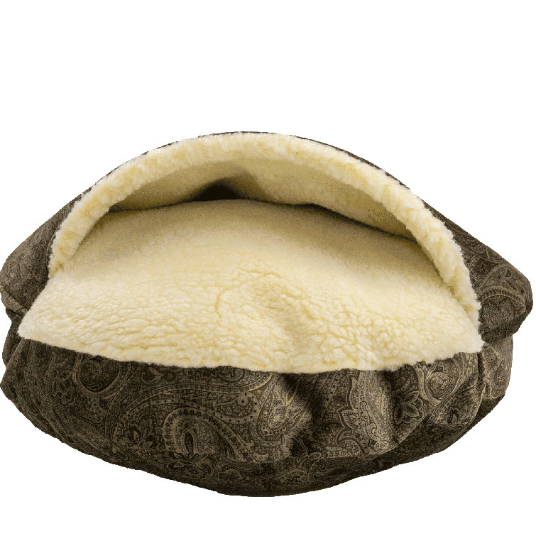 snoozer dog bed
