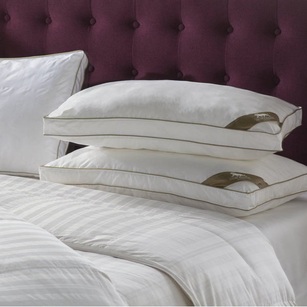 Official MGM Grand Hotel Pillow Jumbo 2 Gusset the Best Pillow for Back /& Side Sleeping MGM GRAND at home Platinum Collection Hotel Down Alternative Pillow 500 Thread Count