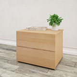 Jansen 2 Drawer Nightstand by Trule