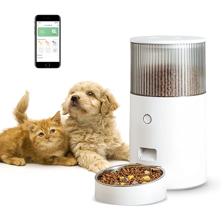 remote control cat feeder