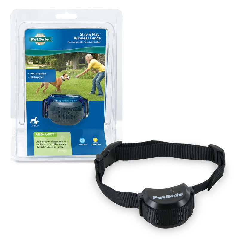 dog collar fence