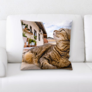 Pet Throws Wayfair Pet Throw Pillow