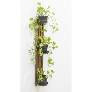 Indoor Pots Planters You Ll Love Wayfair Co Uk Wall Planter