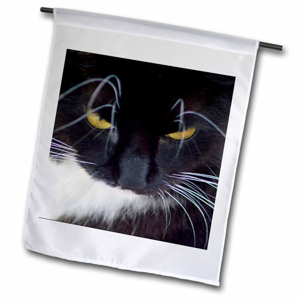 Whisker City Cat Furniture Wayfair