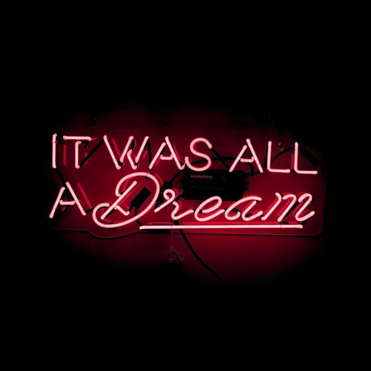 Latitude Run® It Was All a Dream Neon Sign & Reviews | Wayfair