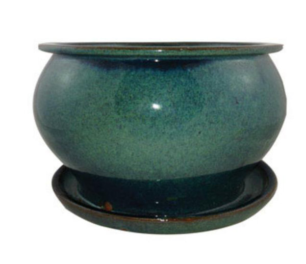 African Violet Pots Wayfair
