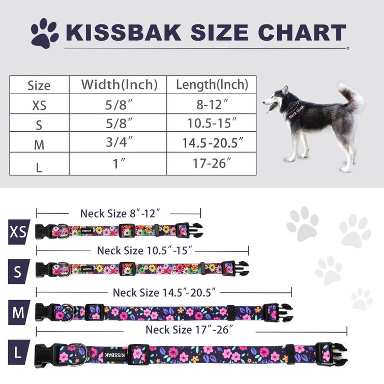 fancy large dog collars