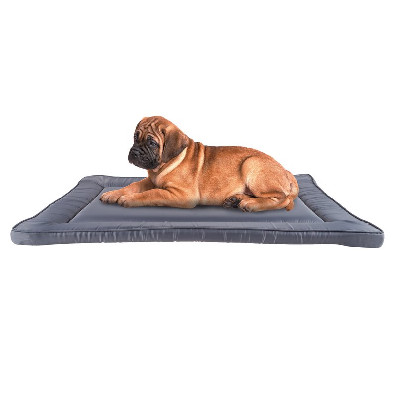 orthopedic dog crate pad