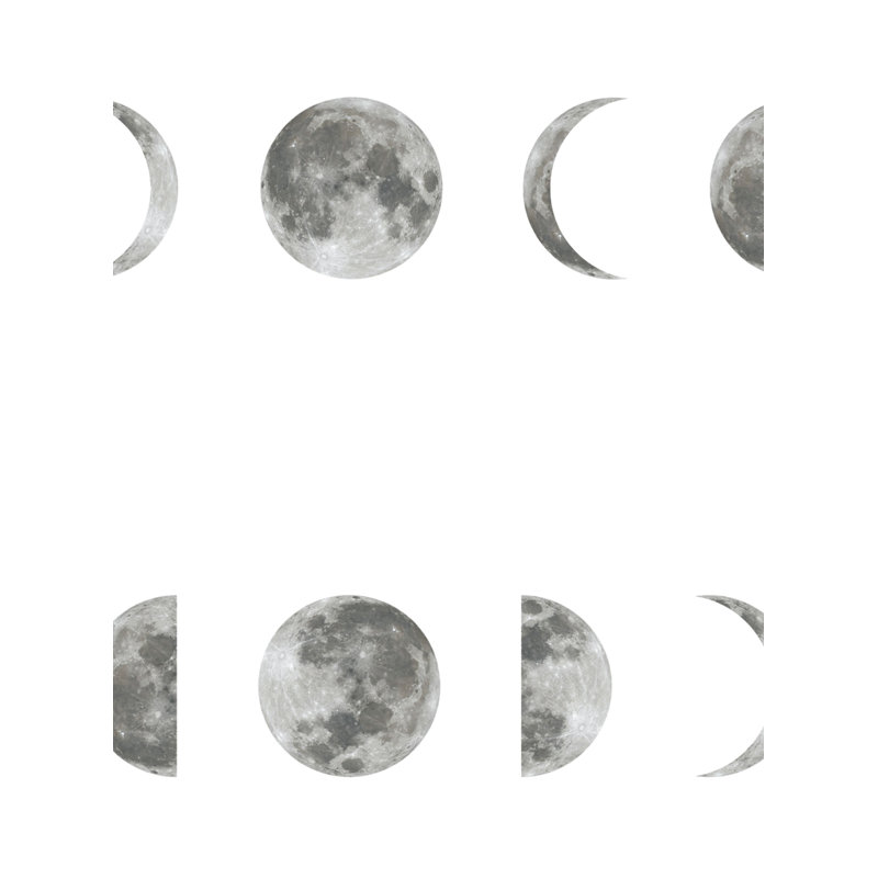 Isabelle Max Fieldston Phases Of The Moon Paintable Peel And