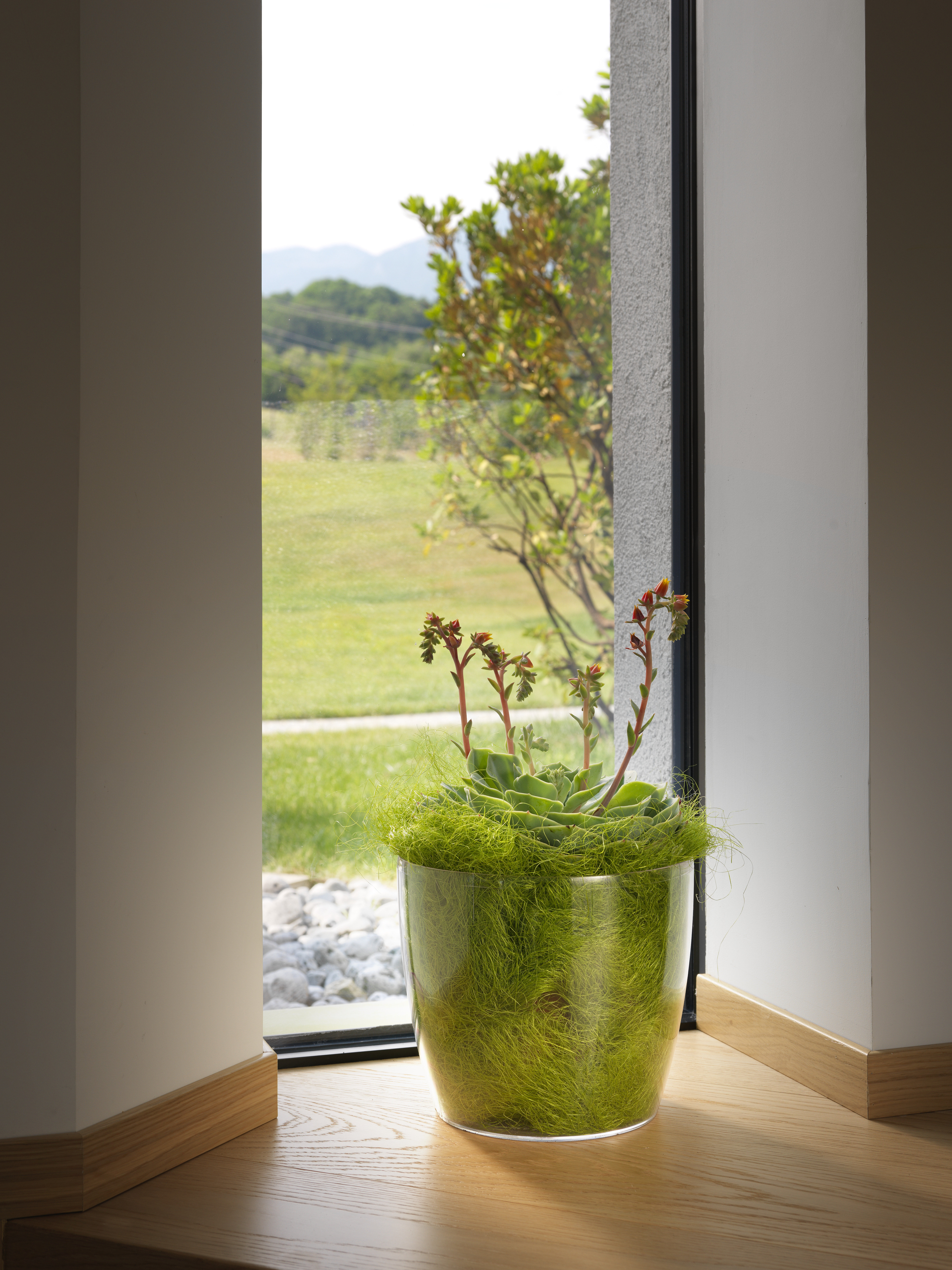 wayfair standing planter on Latitude Run Valeriane Plastic Pot Planter Reviews Wayfair