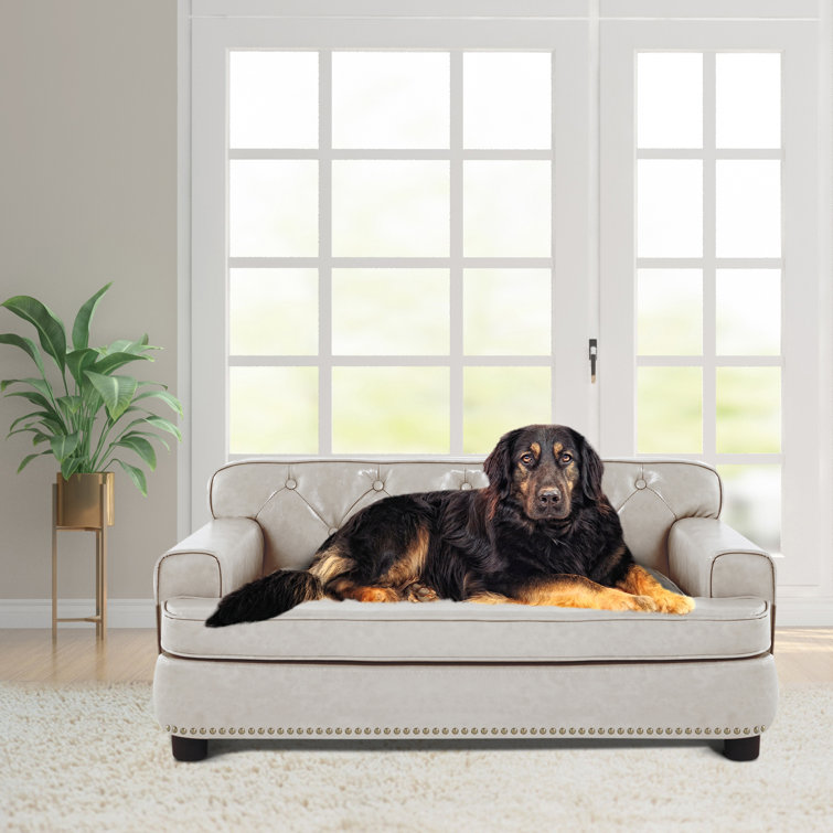 dog sofa large breed