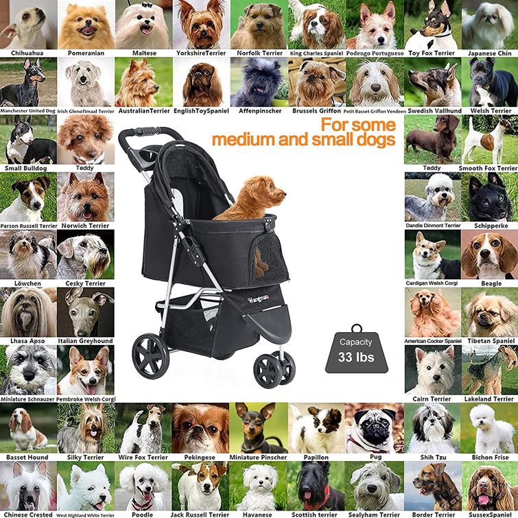 dog jogging stroller