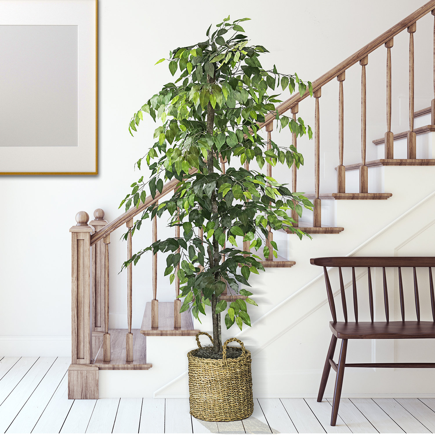 Laurel Foundry Modern Farmhouse 72 Ficus Tree In Basket Reviews Wayfair