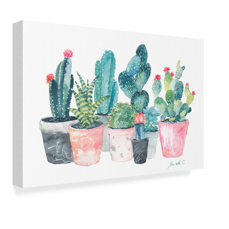 Bungalow Rose Cactus Water Color Acrylic Painting Print On