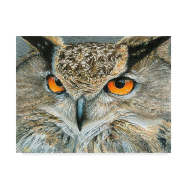 World Menagerie Orange Eyed Owl Acrylic Painting Print On