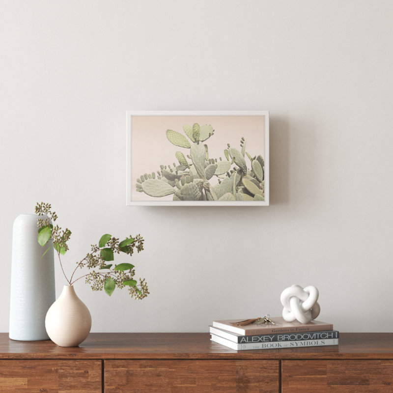 Cactus Bunch by Marmont Hill - Picture Frame Photograph Print on Paper