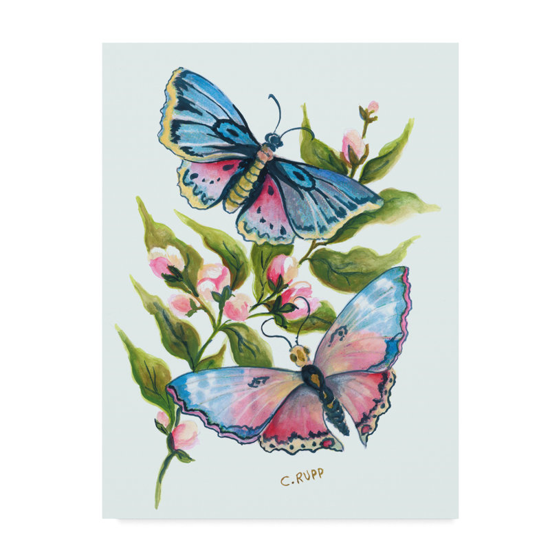 Ophelia Co Butterfly In Pink And Blue Acrylic Painting Print