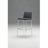 Puaina Bar & Counter Stool (Set of 2) by Latitude Run®