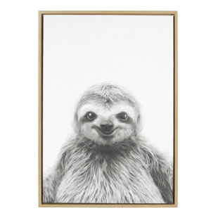 Animal Wall Art Nursery Wayfair Animal Print Sloth Portrait Framed Photographic On Wred Canvas