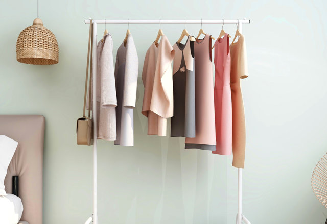 Clothing & Garment Racks Under $79