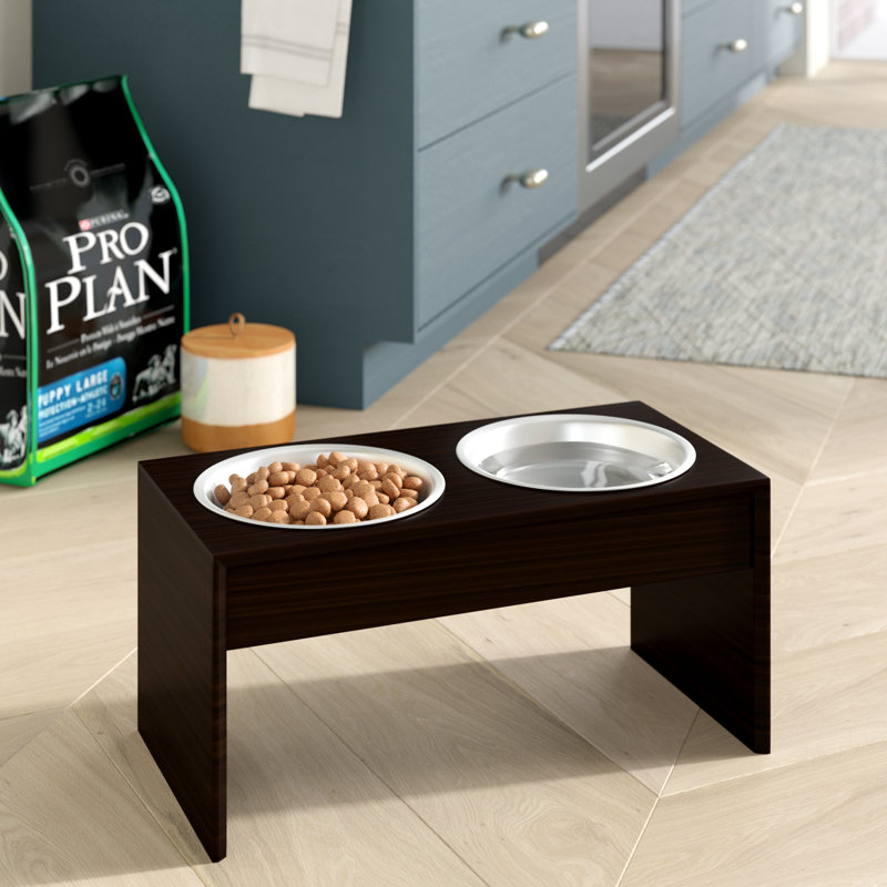 Archie Oscar Danielle Elevated Pet Feeder Reviews Wayfair