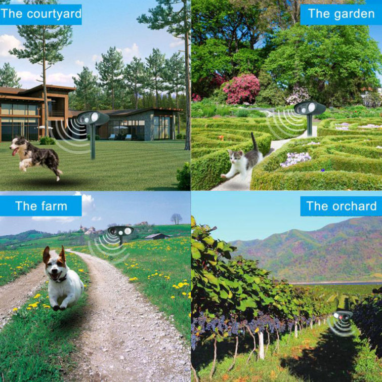 motion sensor dog deterrent