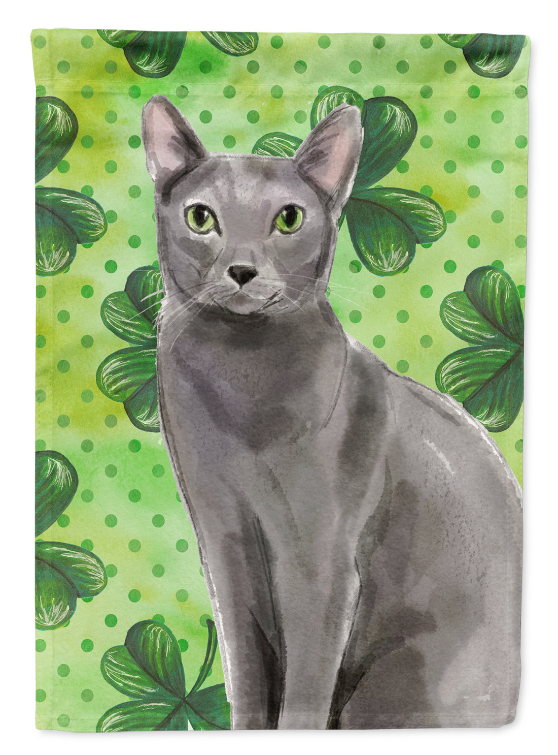 russian blue size