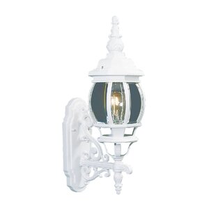 Kelly 1-Light Glass Outdoor Sconce