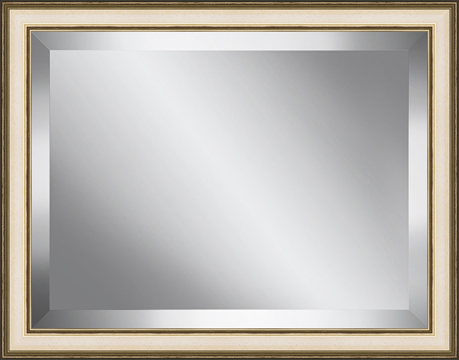 Ashton Wall Décor Llc Champagne Plate Accent Mirror Wayfair