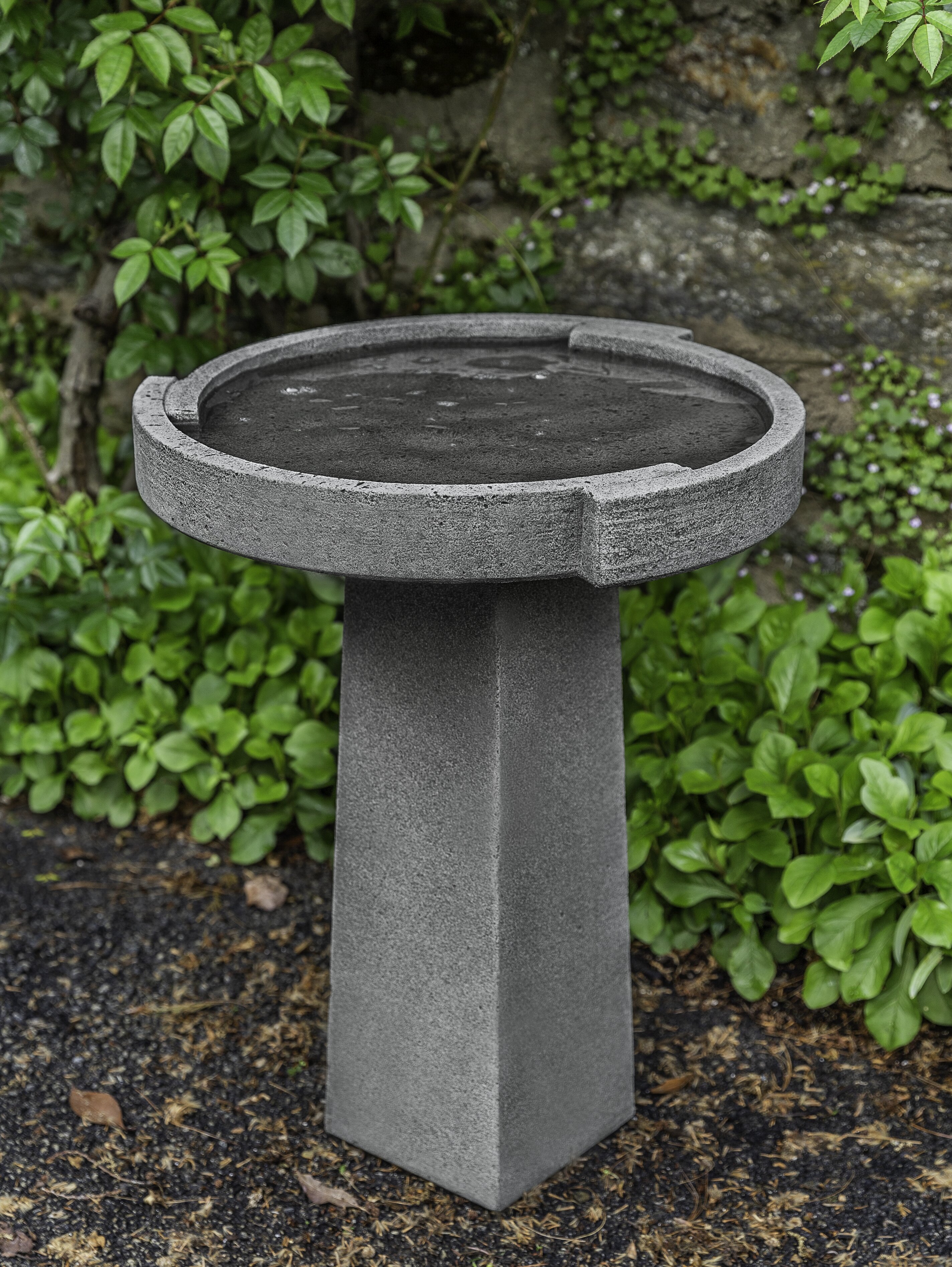 Campania International, Inc Concept Birdbath & Reviews | Wayfair