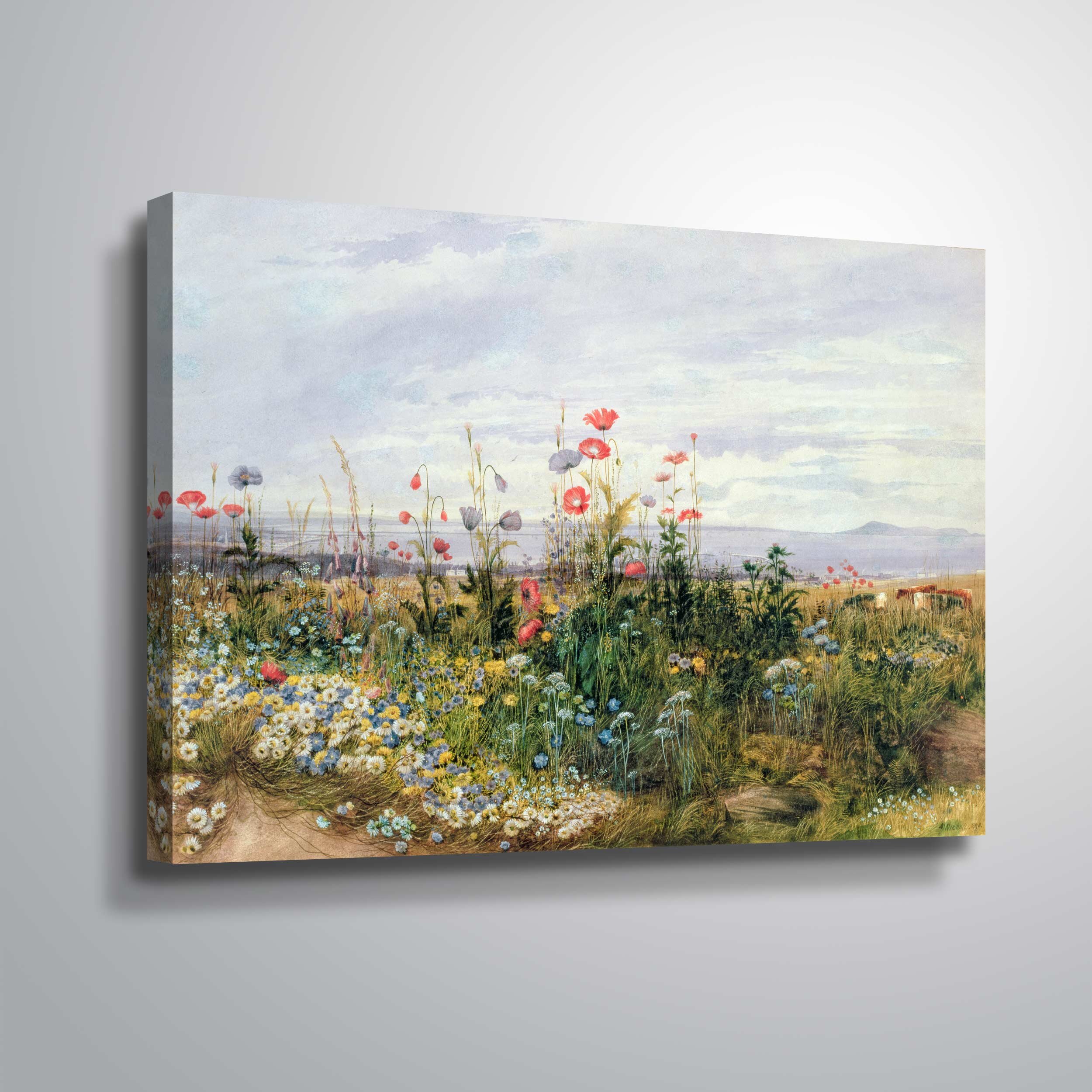 Wildflowers With A View Of Dublin Dunleary by Mark Adlington - Print on Canvas