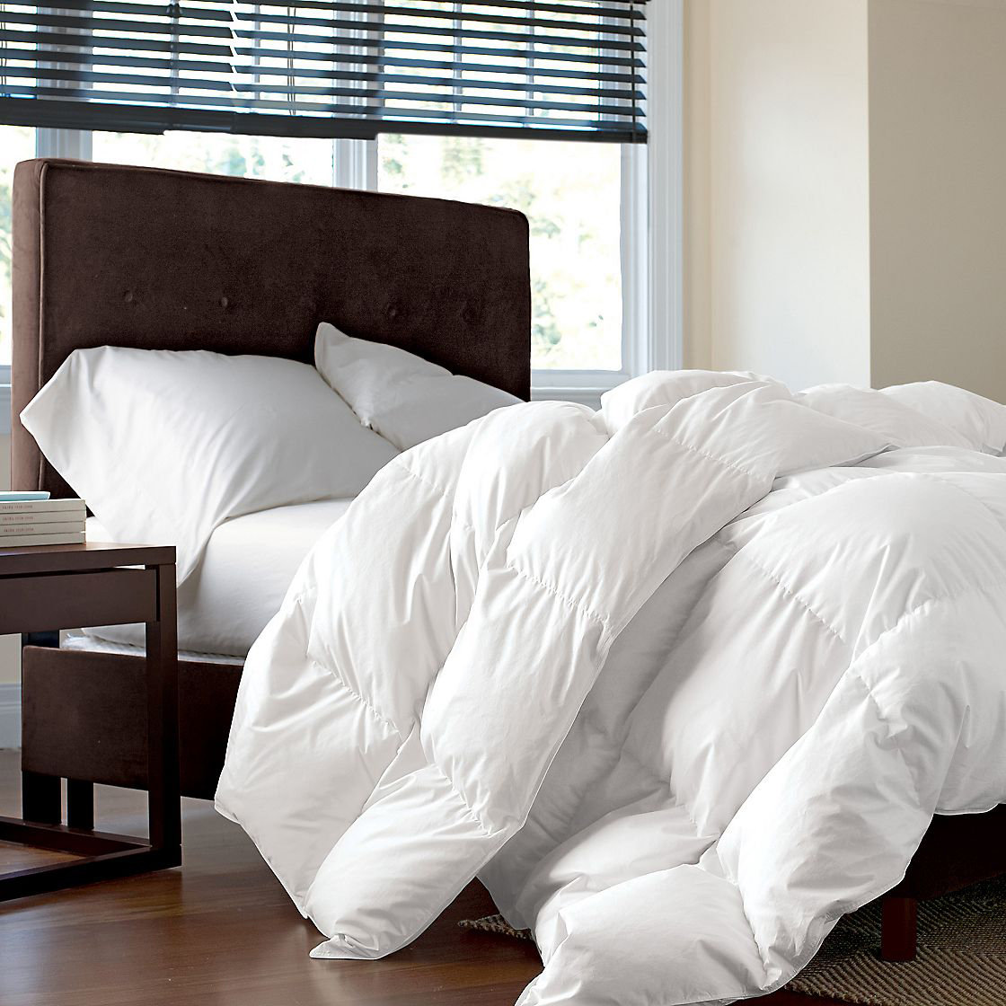 Alwyn Home Microfiber Extra Filled Heavyweight Winter Down
