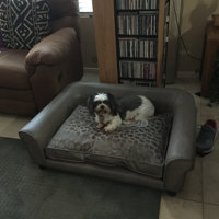 corina dog sofa