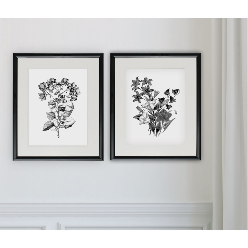 Ophelia Co Botanical Black And White 2 Piece Framed Acrylic