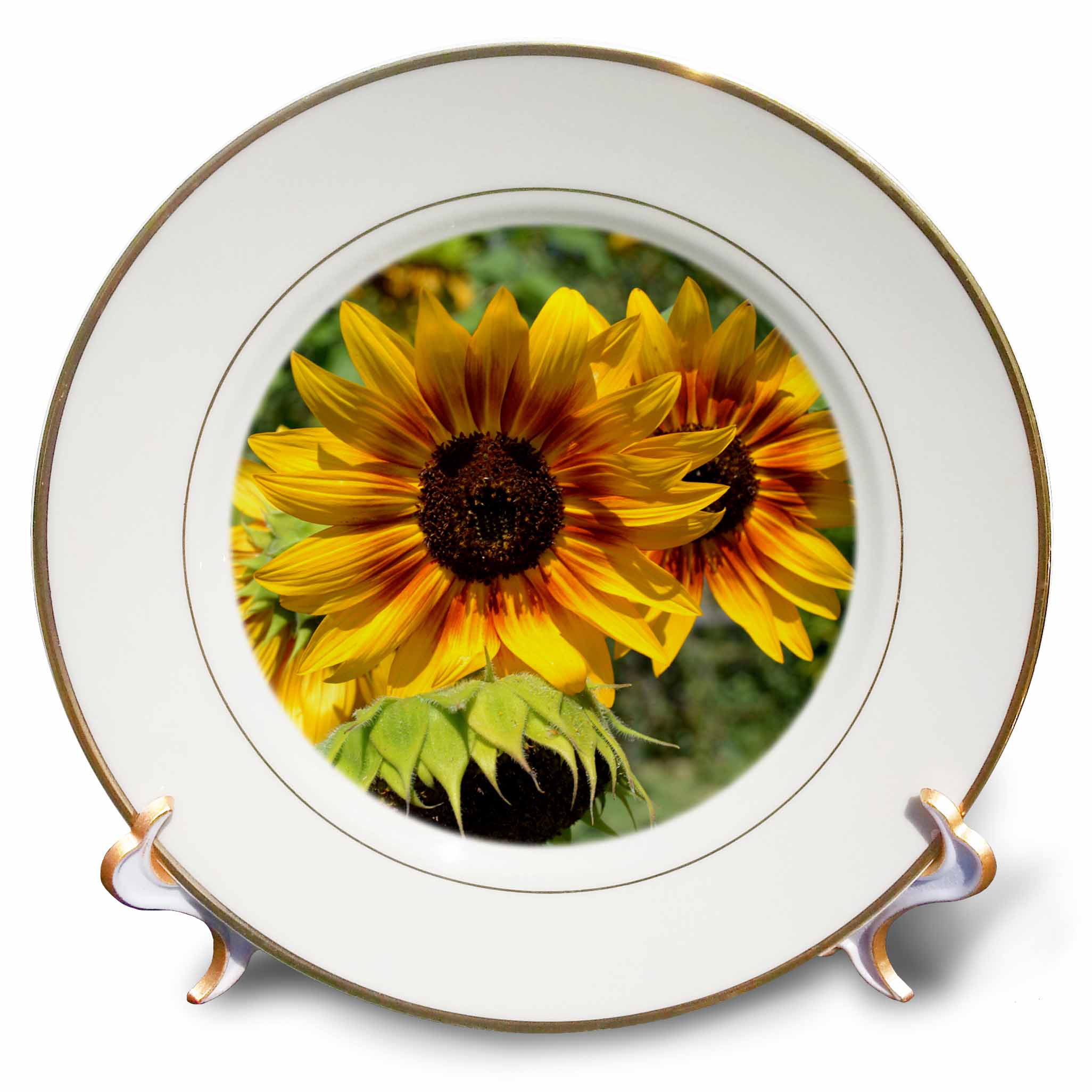 sunflower decorative plates