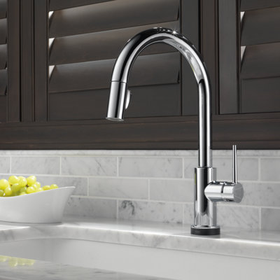 Delta Trinsic Pull Down Single Handle Kitchen Faucet With