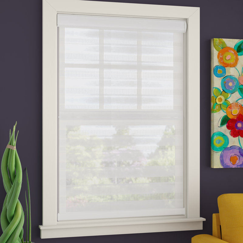 Ebern Designs Cordless Zebra Semi Sheer Roller Shade Reviews Wayfair