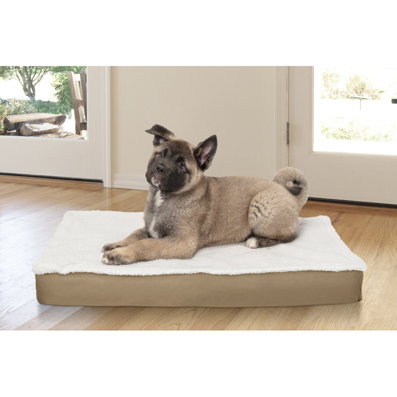 outdoor pet mat