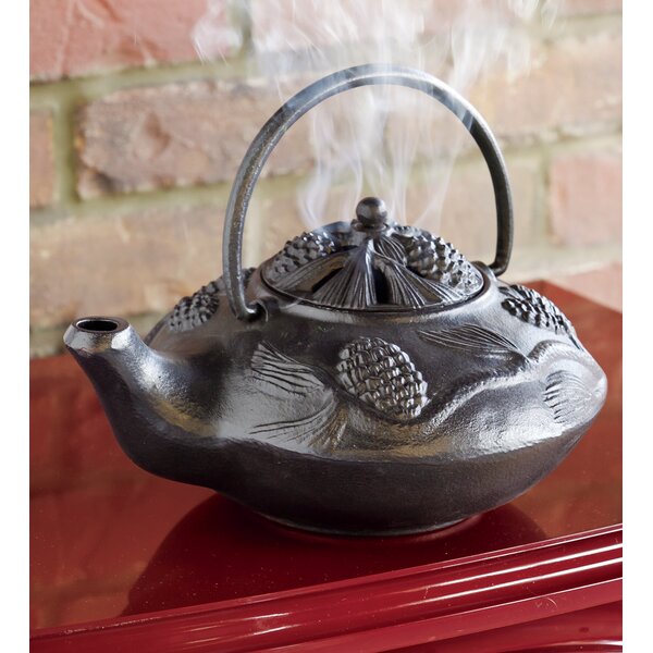 teapot for wood burning stove