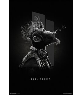 Monkey Wizards Black White Wall Art You Ll Love Wayfair