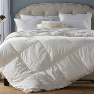 Down Comforters Duvet Inserts You Ll Love Wayfair All Season Down Alternative Comforter