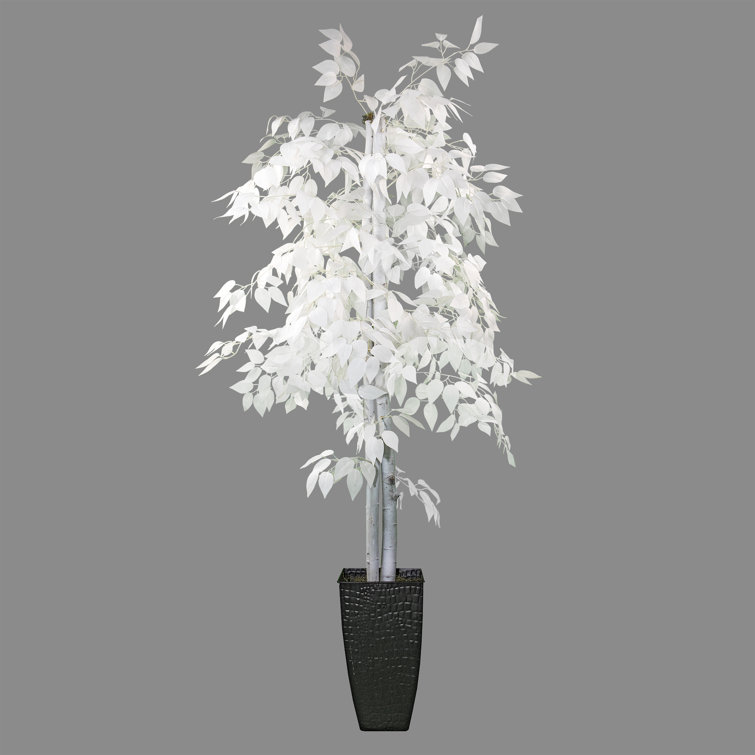 Freeport Park® 6 Foot Designer White Ficus Tree In Black Metal Pot &  Reviews | Wayfair