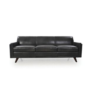Ari Genuine Leather Modern Leather Sofa