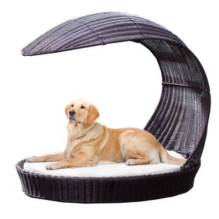 Outdoor Use Wicker Dog Beds You'll Love 