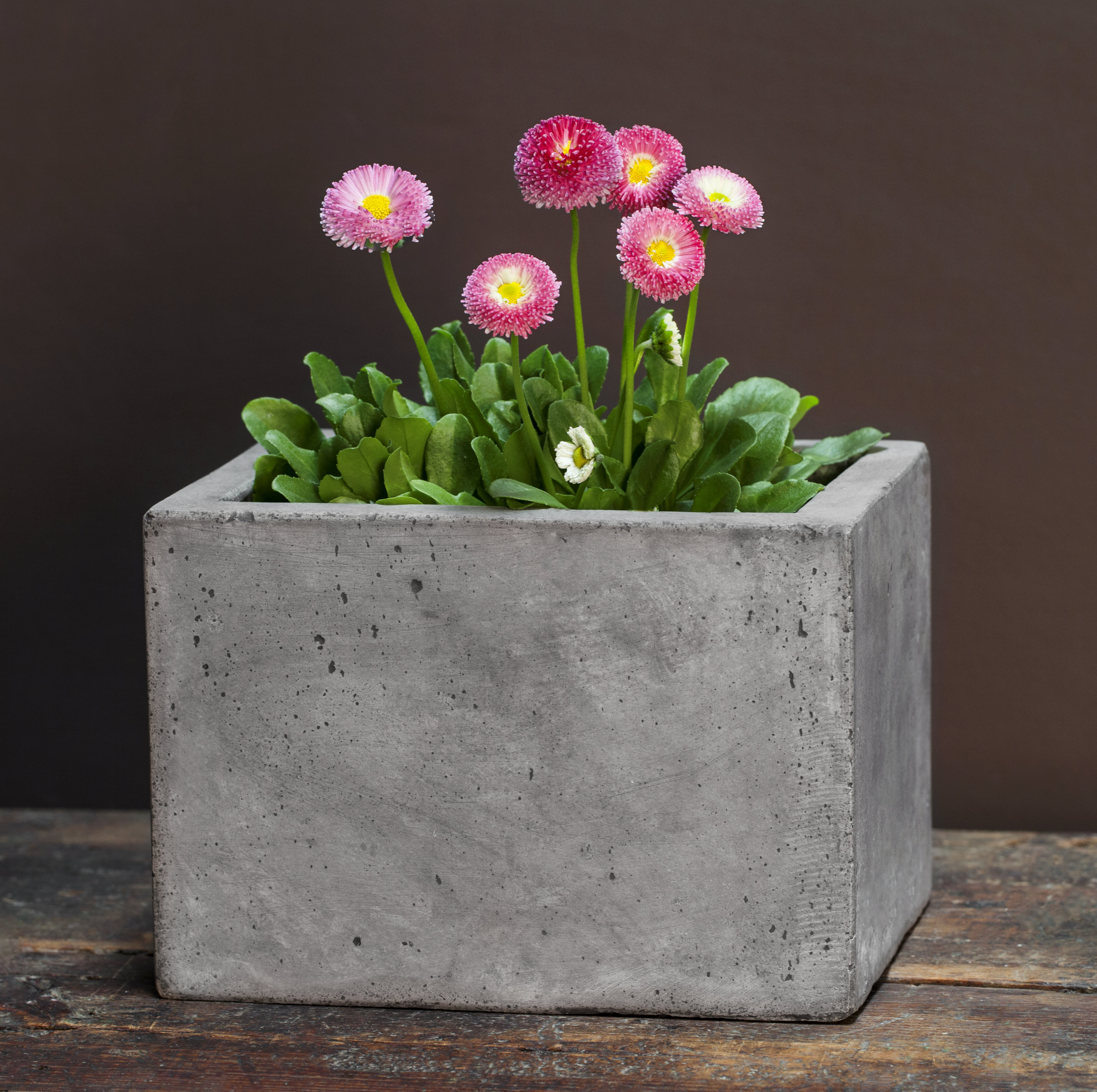 2. Industrial Chic Concrete Planter Box