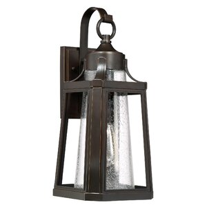 Nitish Bronze 1-Light Outdoor Wall Lantern