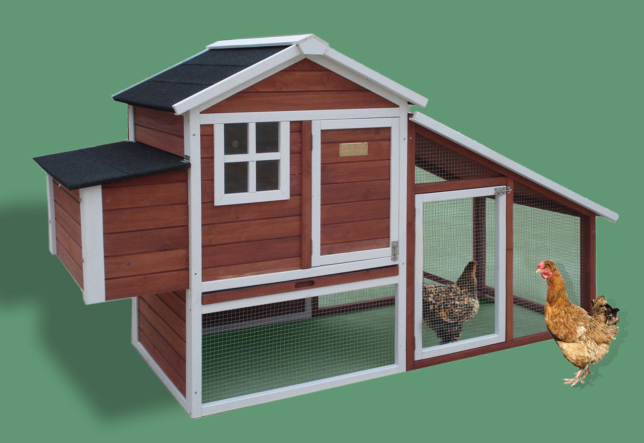 [BIG SALE] Happy Hens Chicken Coops on Sale You’ll Love In 2023 Wayfair