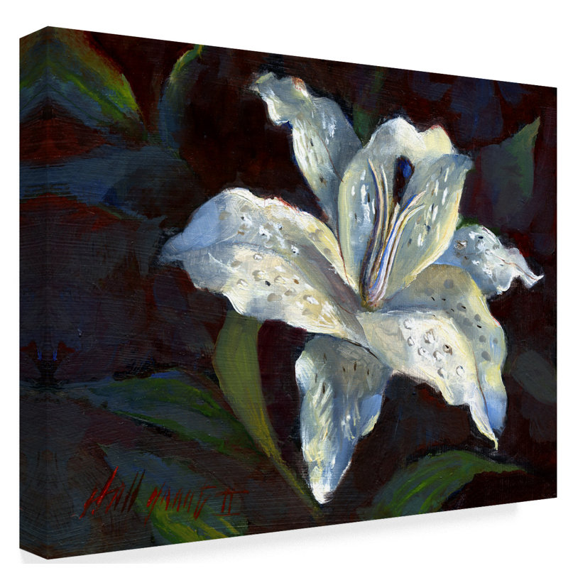 Trademark Art White Lily Dark Acrylic Painting Print On Wrapped