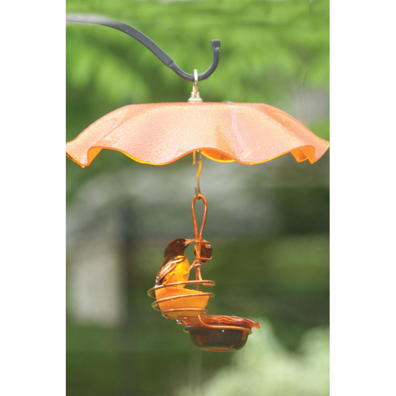 Birds Choice Single Cup Single Fruit Oriole Tray Bird Feeder Wayfair
