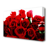 Roses Canvas Picture Pretty White Rose Panorama Picture Flowers Picture XXL Flower Teapot